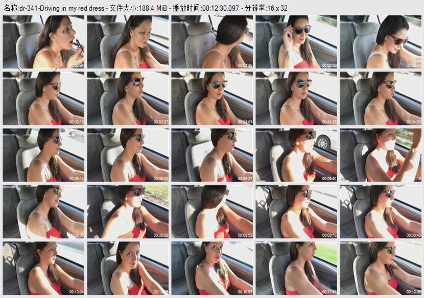 dr-341
